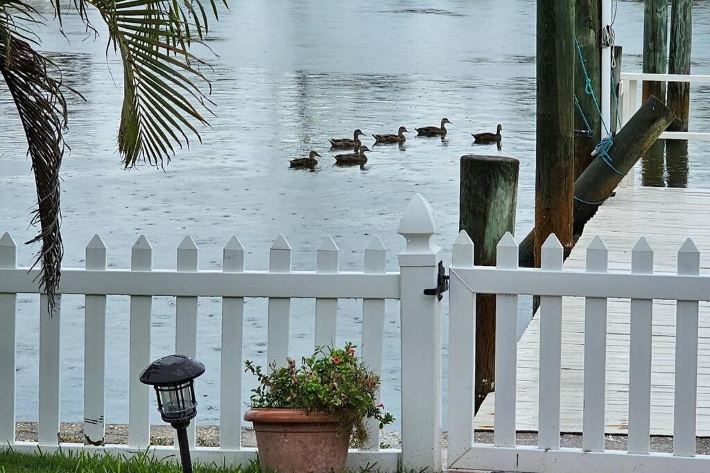 Villa Irb Surf House Waterfront Oasis+ Sunshine +Fun Kayaks Clearwater Beach Exterior foto